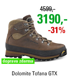 Dolomite Tofana GTX® Dark Brown