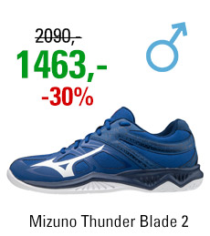 Mizuno Thunder Blade 2 V1GA197020