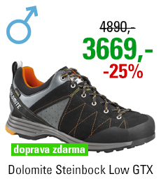 Dolomite Steinbock Low GTX 2.0 Black/Orange