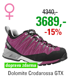 Dolomite Crodarossa GTX Women Purple/Grey