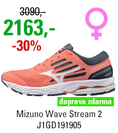 Mizuno Wave Stream 2 J1GD191905