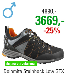 Dolomite Steinbock Low GTX 2.0 Black/Orange