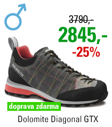 Dolomite Diagonal GTX Grey/Red