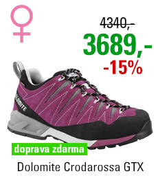 Dolomite Crodarossa GTX Women Purple/Grey