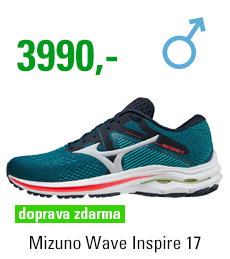 Mizuno Wave Inspire 17 J1GC214433