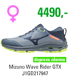 Mizuno Wave Rider GTX J1GD217947