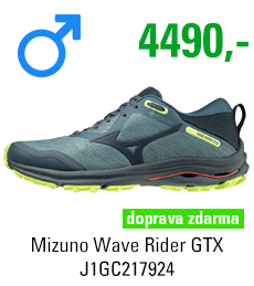 Mizuno Wave Rider GTX J1GC217924