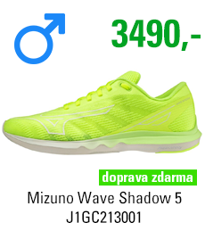 Mizuno Wave Shadow 5 J1GC213001